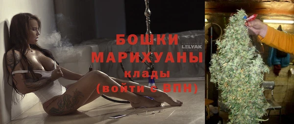 молекула духа Новозыбков