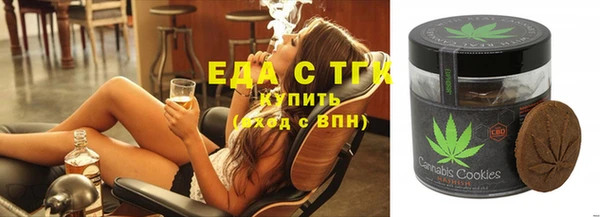 молекула духа Новозыбков