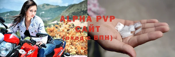 молекула духа Новозыбков