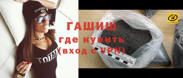 молекула духа Новозыбков