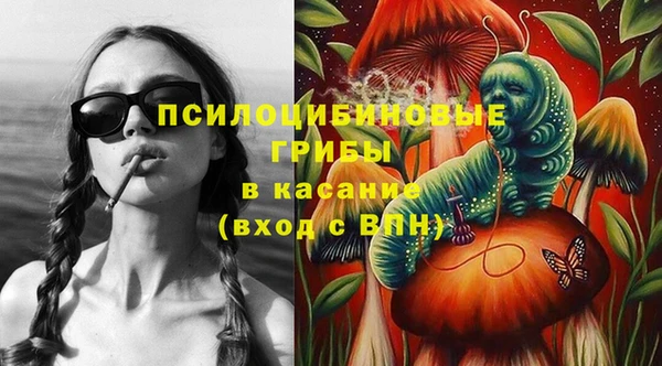 ГАЛЛЮЦИНОГЕННЫЕ ГРИБЫ Новокубанск