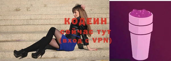 молекула духа Новозыбков