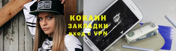 молекула духа Новозыбков