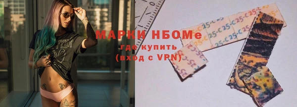 молекула духа Новозыбков