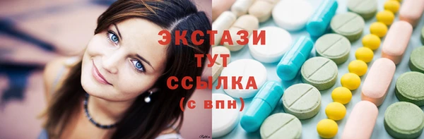 молекула духа Новозыбков