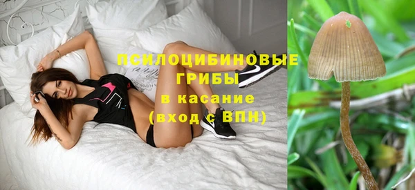 молекула духа Новозыбков