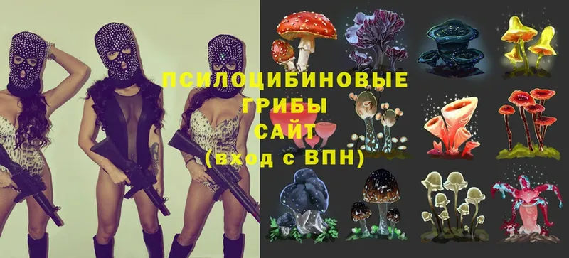 omg как войти  Омск  Галлюциногенные грибы Magic Shrooms  купить наркотик 