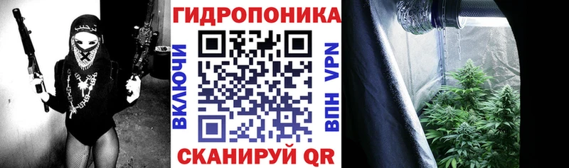 Бошки марихуана семена  наркотики  Омск 